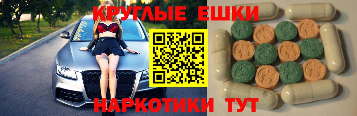 ЭКСТАЗИ бентли Гусев