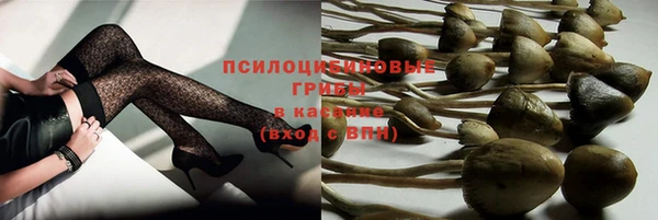 ALPHA-PVP Баксан
