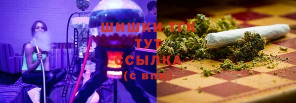 PSILOCYBIN Волосово