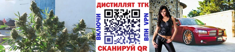 продажа наркотиков  Гусев  Дистиллят ТГК концентрат 