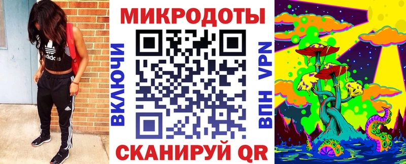 Псилоцибиновые грибы Psilocybe  Гусев 