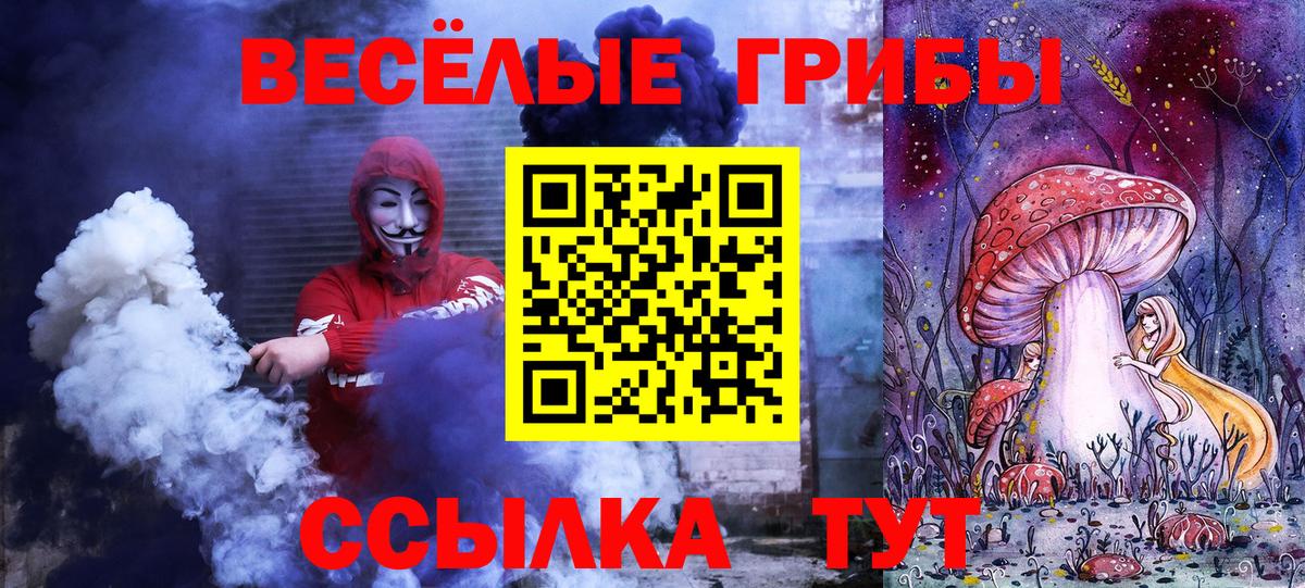 цена   Гусев  Галлюциногенные грибы мицелий  Галлюциногенные грибы Psilocybine cubensis 