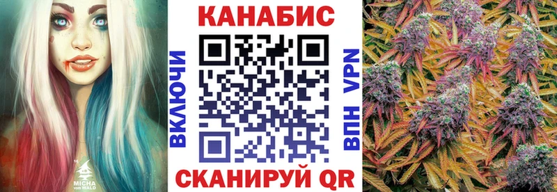 Бошки марихуана семена  купить закладку  Гусев 